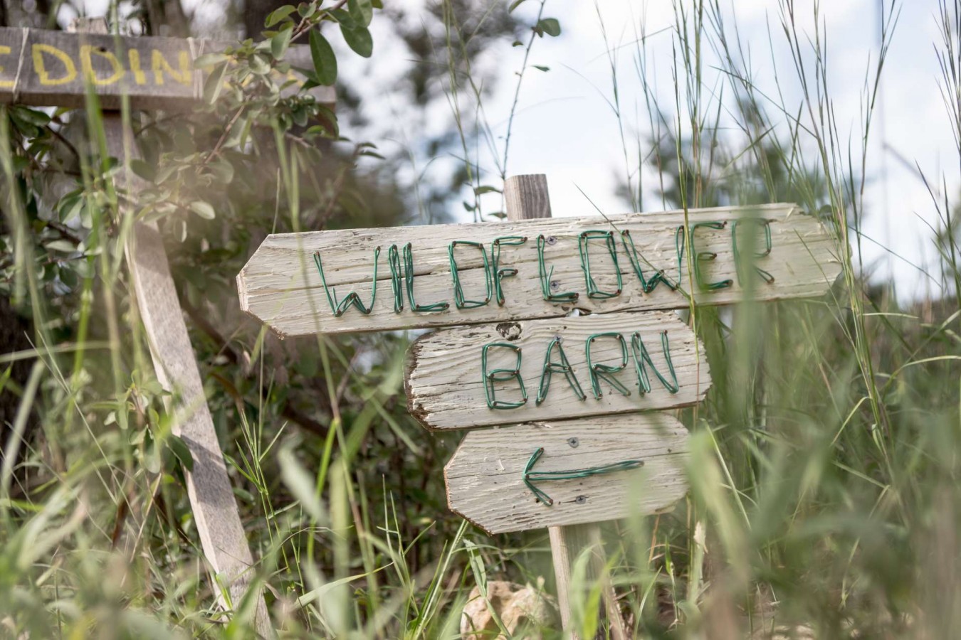 HighDot Studios - Wedding - Wildflower Barn - Austin - Kristy and Tom (1)